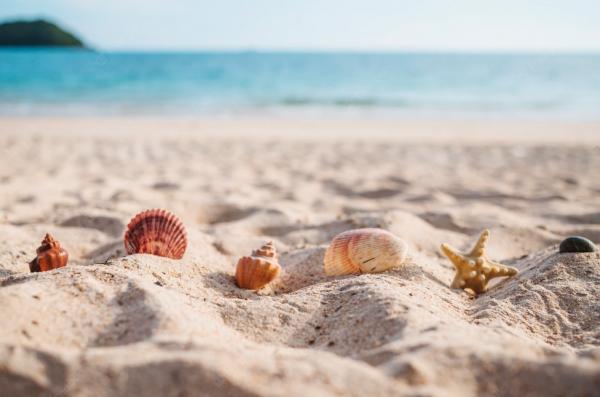 ZETA ELECTRIC - FERIE ESTIVE 2025